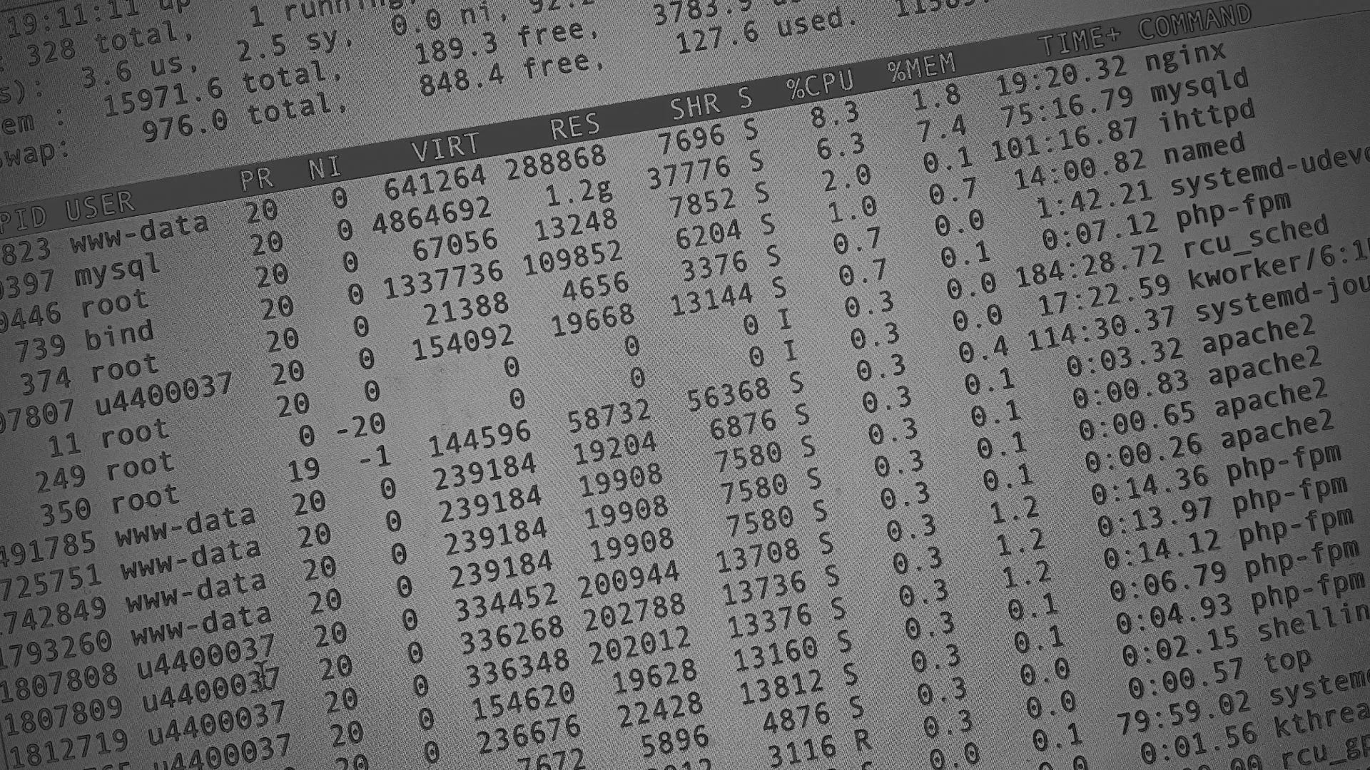 Настройка сервера в Магасе