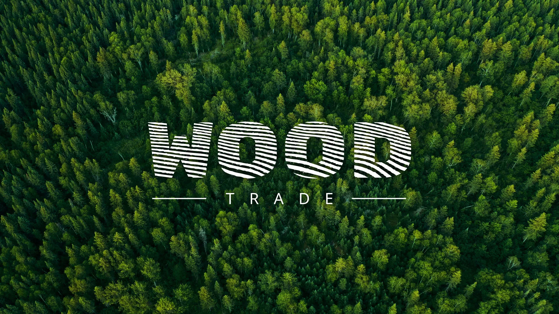 Разработка интернет-магазина компании «Wood Trade» в Магасе
